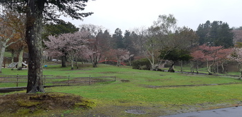 子野日公園