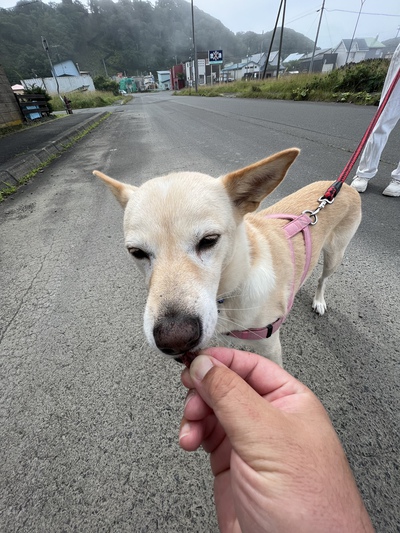 お誕生日