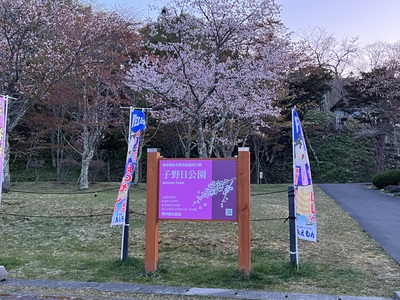 5月12日の記事