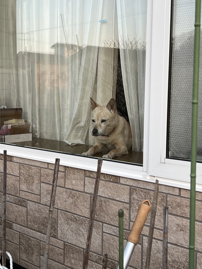 3月29日の記事