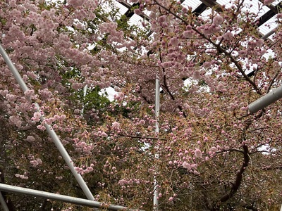 5月14日の記事