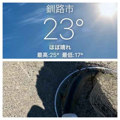 9月7日の記事