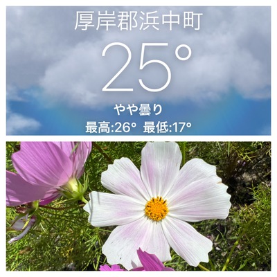 9月7日の記事