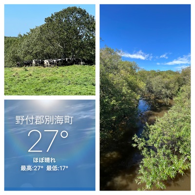 9月7日の記事