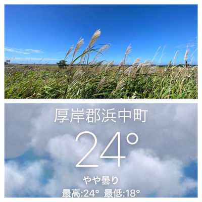 9月7日の記事