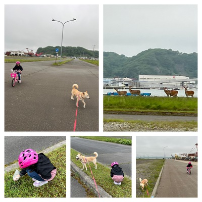 6月11日の記事