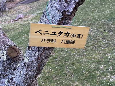 5月12日の記事