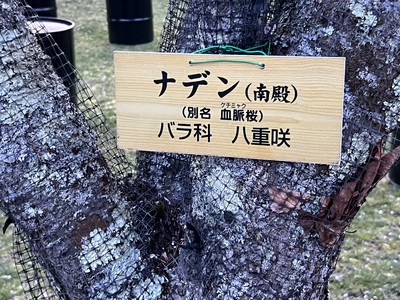 5月12日の記事