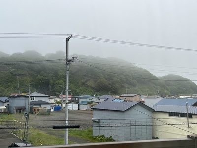 6月11日の記事