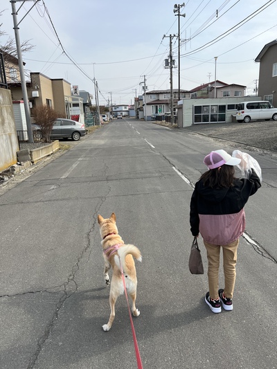 4月6日の記事