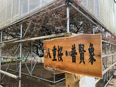5月16日の記事