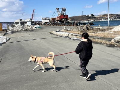 あれから半年