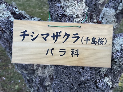 5月12日の記事