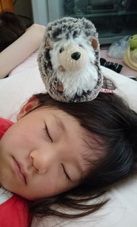 ８月