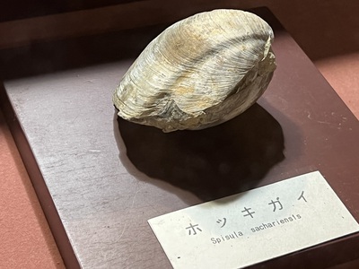 5月16日の記事