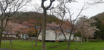 厚岸国泰寺