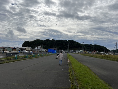 8月30日の記事
