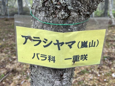 5月16日の記事