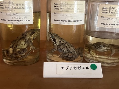 5月16日の記事