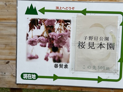 5月16日の記事