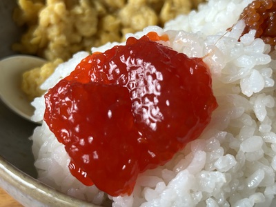 リベンジ