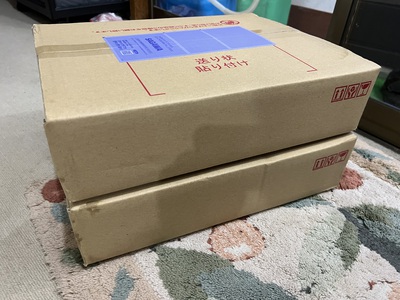 十字狐