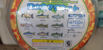 ５匹0匹2匹