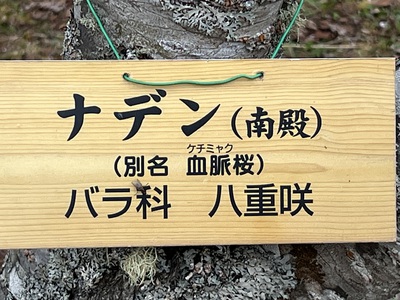 5月16日の記事