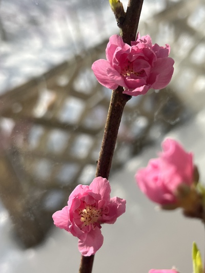 2月28日の記事