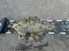 投げ釣り