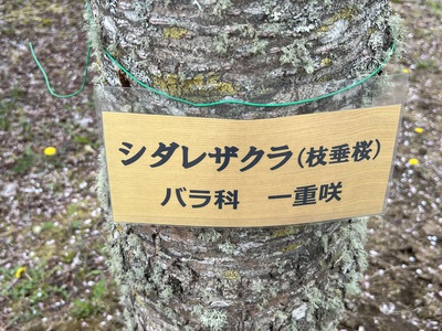 5月16日の記事