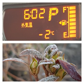永久不滅