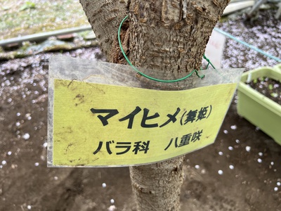 5月16日の記事