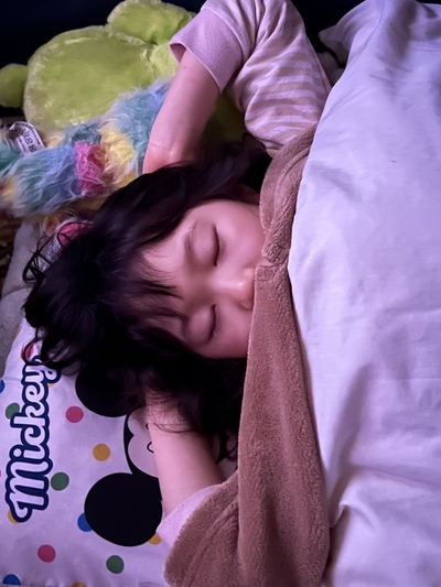 3月29日の記事