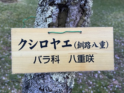 5月12日の記事