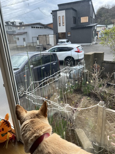 リベンジ