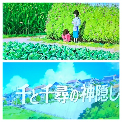 初日　◯