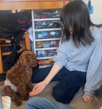 3月22日の記事