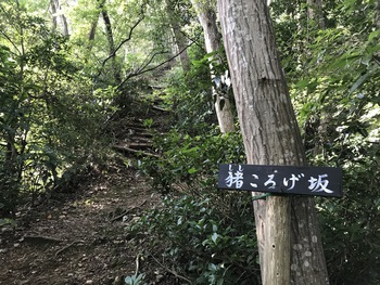 久しぶりに朝の雨巻山を歩く