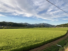 山の日に雨巻山で朝食を食べる 2022/08/11 21:33:44
