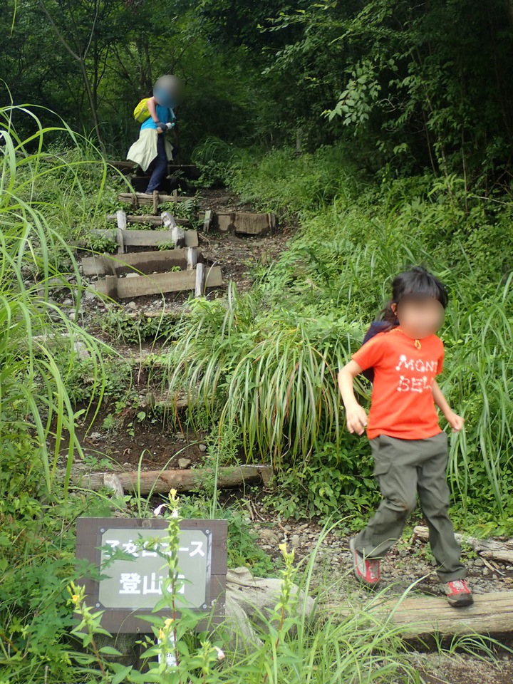 箱根・金時山登山を10倍楽しむ方法