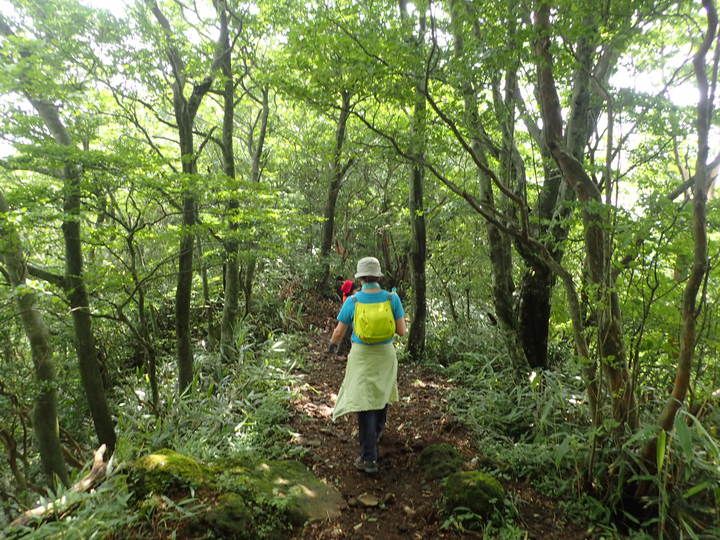 箱根・金時山登山を10倍楽しむ方法