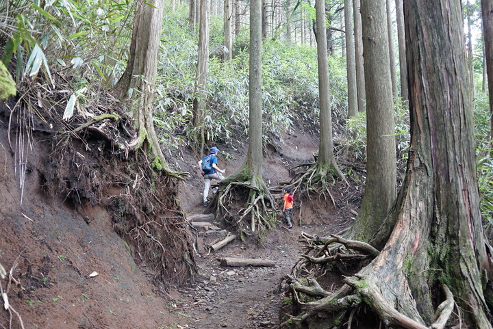 箱根・金時山登山を10倍楽しむ方法