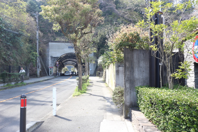 母子で源氏山ハイキング～鎌倉巡り～