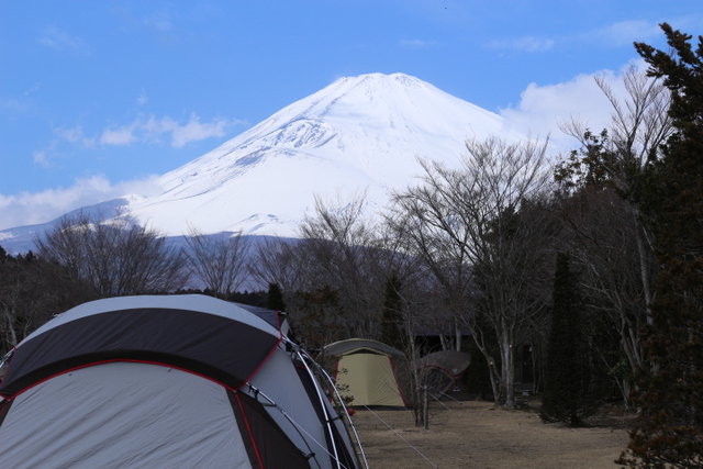 やまぼうし①〜富士山絶景キャンプ〜