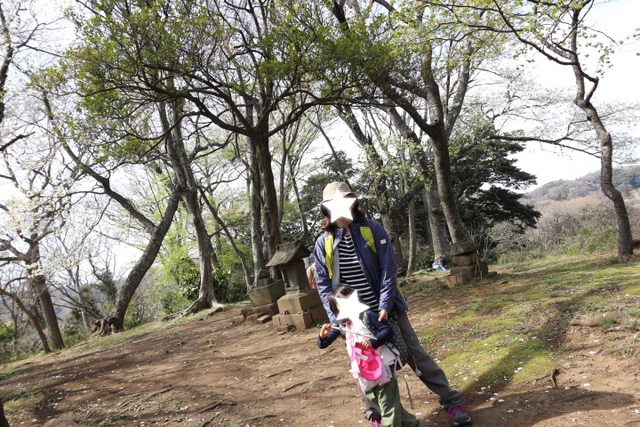 母子で源氏山ハイキング～鎌倉巡り～