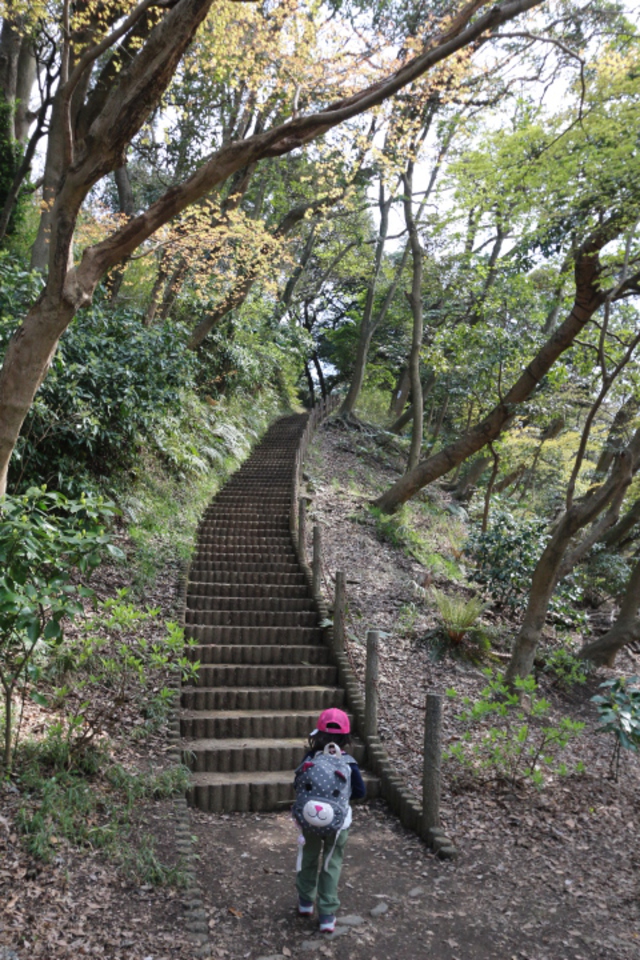 母子で源氏山ハイキング～鎌倉巡り～