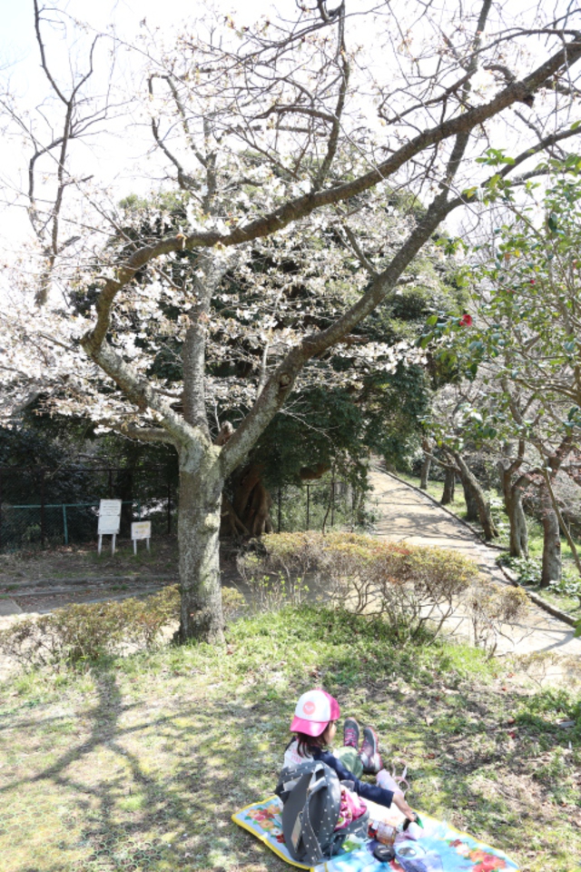 母子で源氏山ハイキング～鎌倉巡り～