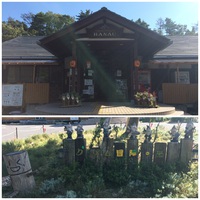 グリム冒険の森　ハロウィンキャンプⅡ　1日目