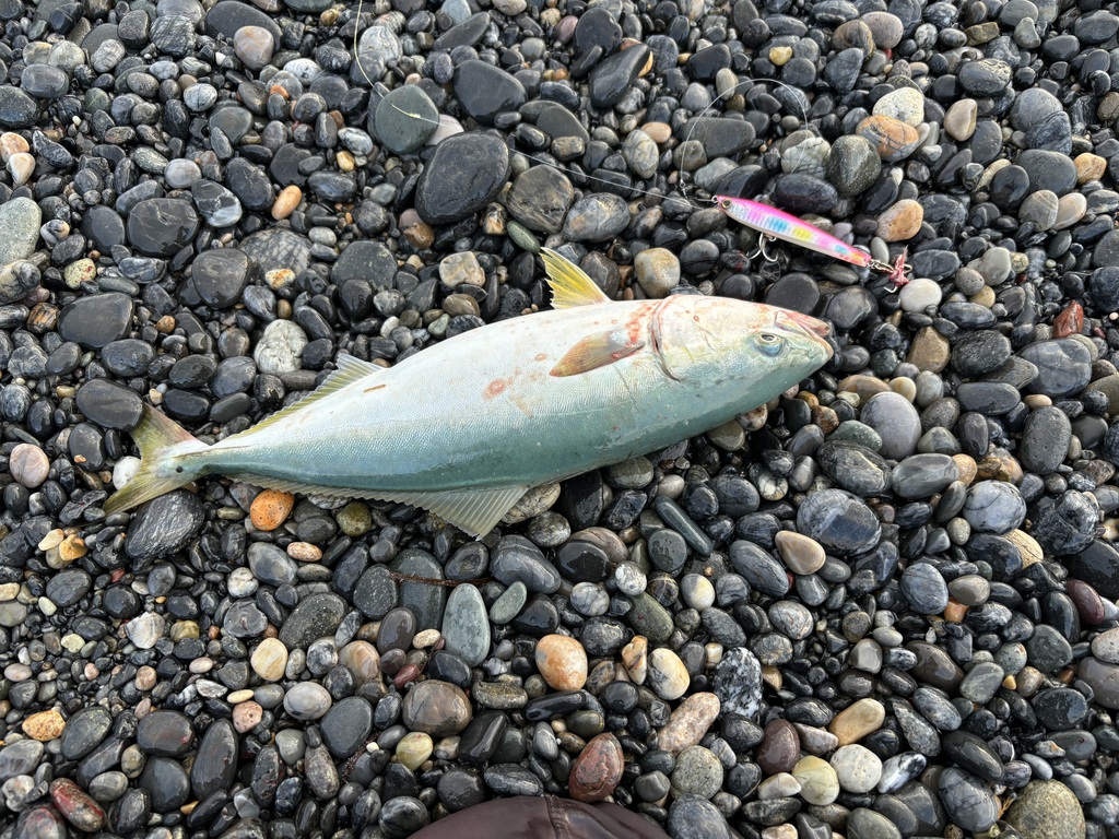 夏の日本海って意外といいかも～